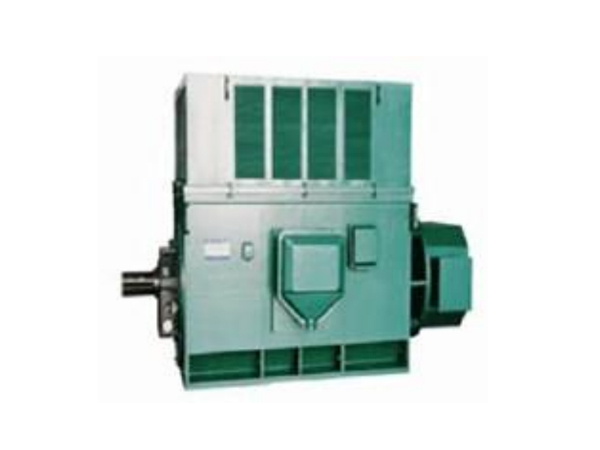 YRKK-2 High Voltage Motor