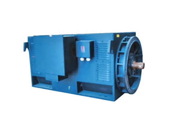 Y High Voltage Motor